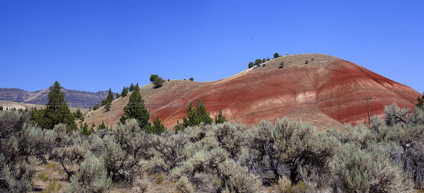wilderness