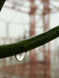 Close-up of water drops on leaf