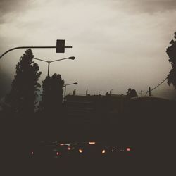 Low angle view of trees against sky