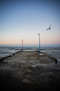 Seagull flying over sea against clear sky