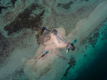 Low section of person swimming in sea