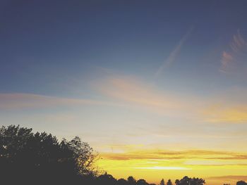 Low angle view of silhouette trees against sky during sunset
