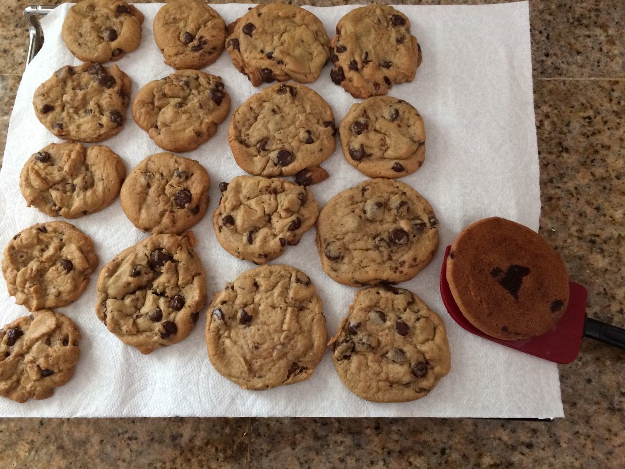 CLOSE-UP OF COOKIES IN TRAY