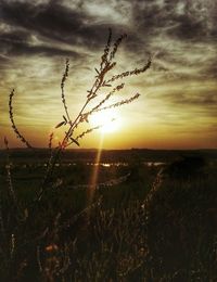 Scenic view of landscape against cloudy sky