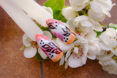 High angle view of white flowers