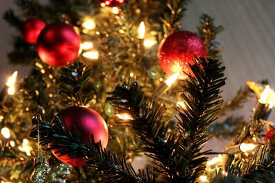 Decorated christmas tree at night