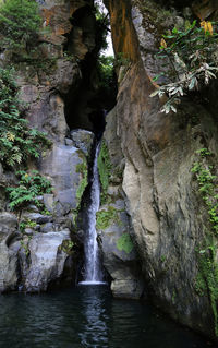 Scenic view of waterfall in forest