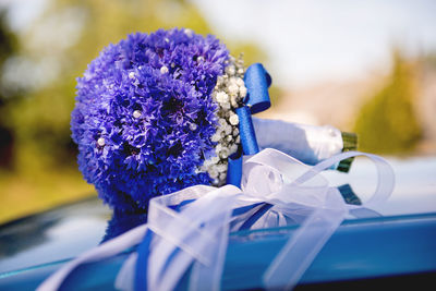 Close-up of purple blue flower