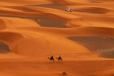 People at sandy beach