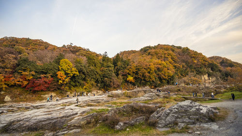 Rocks by trees against sky during autumn