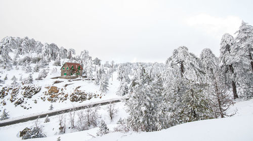 Snow covered land and trees against sky