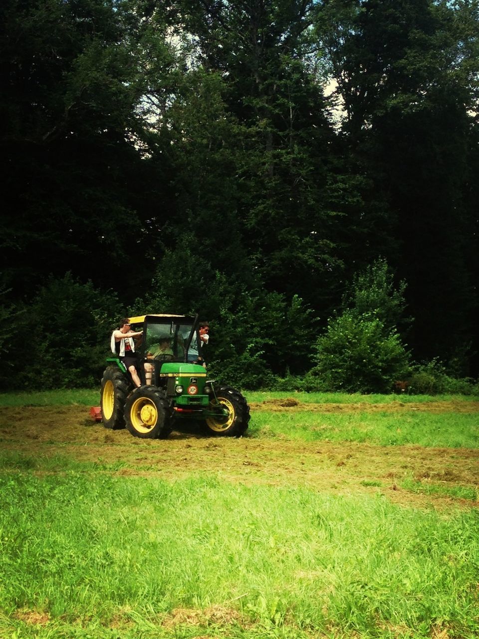 transportation, land vehicle, mode of transport, tree, car, grass, lifestyles, men, bicycle, leisure activity, travel, riding, motorcycle, green color, on the move, field, growth, stationary