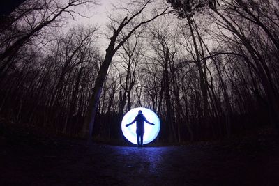 Bare trees against sky
