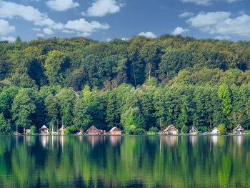 Scenic view of lake by trees against sky