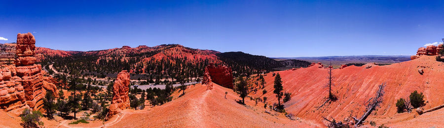 Panoramic view of trees on landscape against blue sky
