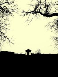 Bare trees on landscape against clear sky