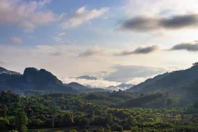 Scenic view of landscape against sky