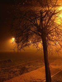 Silhouette bare tree against sky during sunset