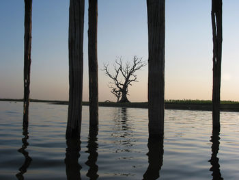 Bare tree by lake against sky