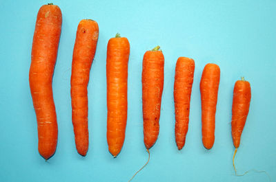 High angle view of orange against white background