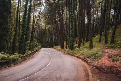 Empty road amidst trees in forest