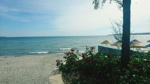 Scenic view of sea against sky