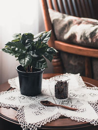 Close-up of potted plant on table