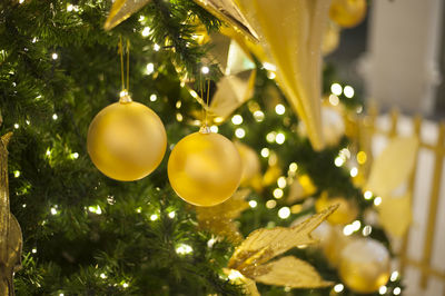 Low angle view of christmas tree