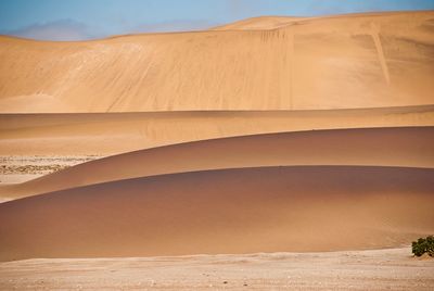 View of a desert