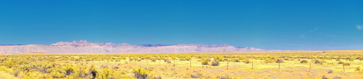 Scenic view of field against blue sky