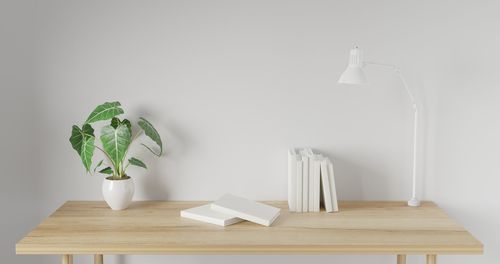 Potted plant on table