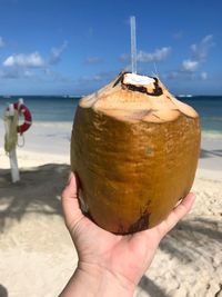 Cropped hand holding coconut at beach against blue sky