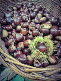 High angle view of fruits in basket