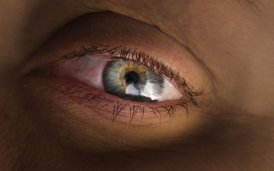 Close-up of person eye