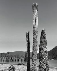 Wooden posts on beach against clear sky