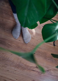 Low section of shoes on wooden floor