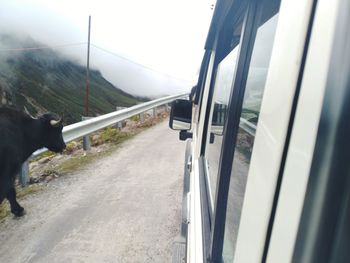 View of car on road through window