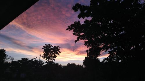 Low angle view of silhouette trees against sky