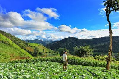 Scenic view of agricultural field against sky