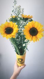 Close-up of hand holding yellow flower