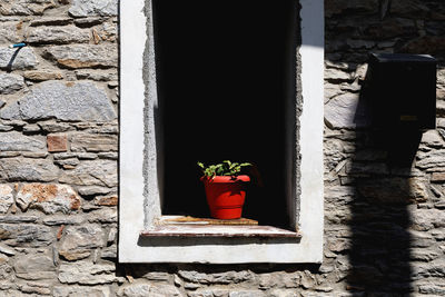 Close-up of potted plant on window amidst wall