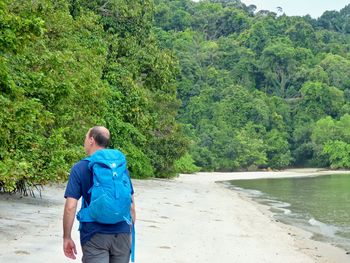 Rear view of man walking on beach