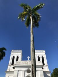 Low angle view of coconut palm tree against blue sky