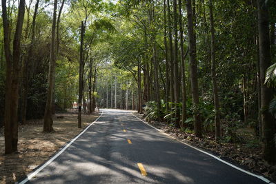 Road amidst trees in forest