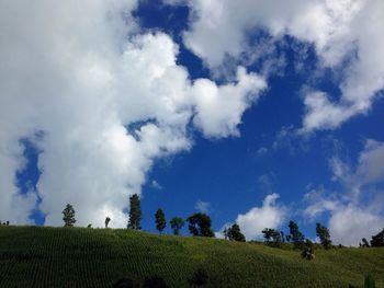 Low angle view of trees against cloudy sky