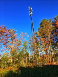 Low angle view of trees against blue sky