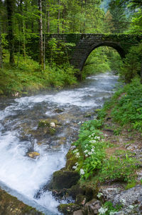 Stream flowing through rocks in forest