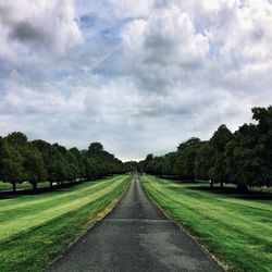 the way forward