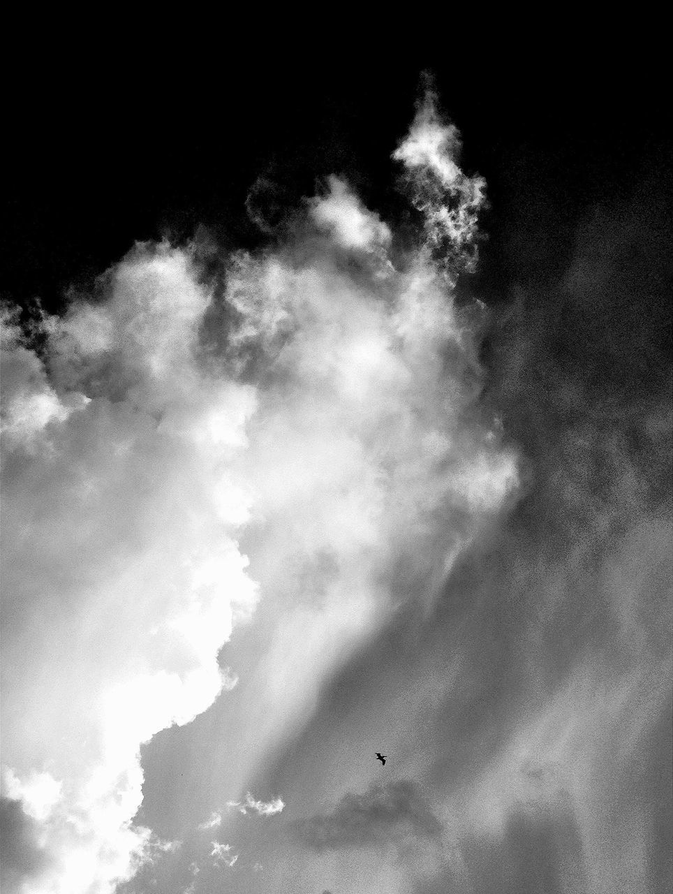 low angle view, sky, flying, cloud - sky, bird, animal themes, nature, beauty in nature, animals in the wild, tranquility, silhouette, wildlife, cloudy, scenics, outdoors, weather, tranquil scene, mid-air, day, no people