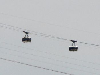 Low angle view of power lines